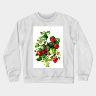 Strawberries Crewneck Sweatshirt